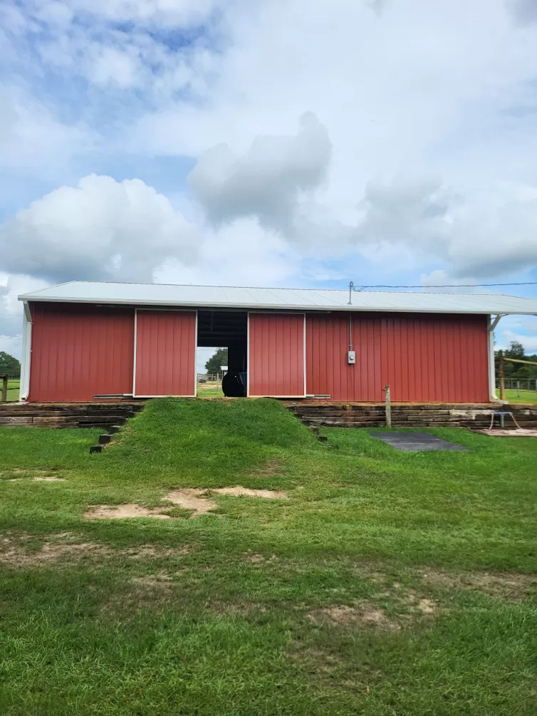 Roof Cleaning in Newton, AL